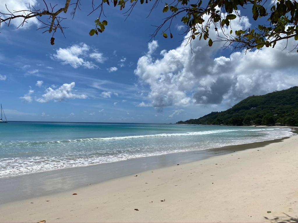 Beau Bamboo Apartment Beau Vallon  Bagian luar foto